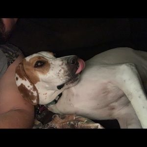 Meet your Posher, Steve